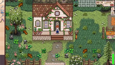 星露谷物语山谷女孩